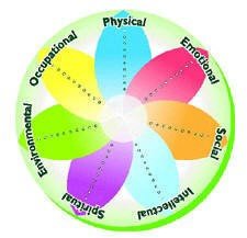 wellness wheel