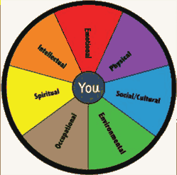 wellness wheel domains