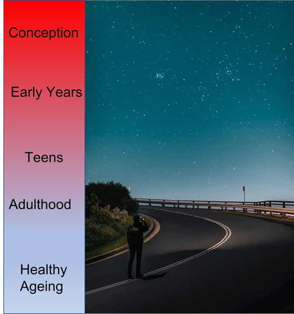 life journey hero