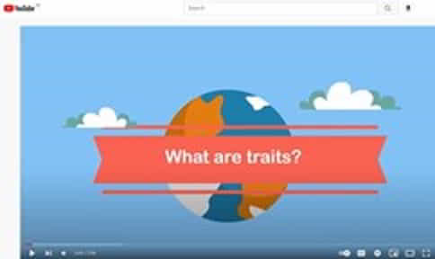 moomoomat video