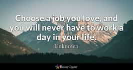 choose a job you love