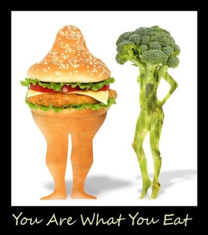 vegan or carnivore