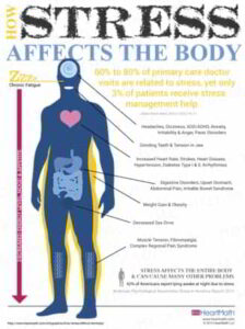 stress impact on body