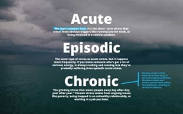 main elements of stress